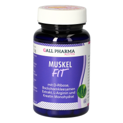 Gall Pharma Muskel-Fit Kapseln