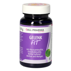 Gall Pharma Gelenk-Fit Kapseln