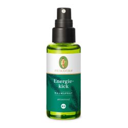 Primavera Bio Energiekick Raumspray