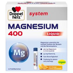 Doppelherz system Magnesium 400 Liquid