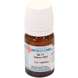 DHU Schüßler Salz Nr. 11 Silicea D12 Tabletten - zurzeit nicht lieferbar
