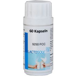 Lactosolv 17500FCC 60ST