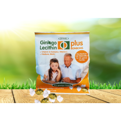 Dr. Fischer Ginkgo Lecithin Plus BonBons - zurzeit nicht lieferbar