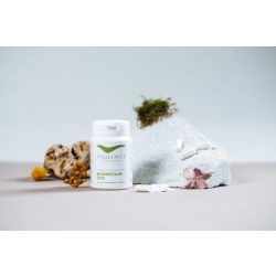 VIGEOVIT Magnesium Duo Kapseln