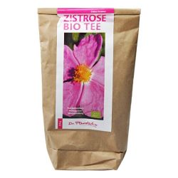 Dr. Pandalis Zistrose Bio Tee